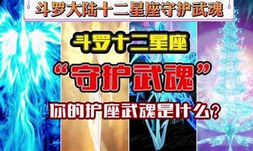 12星座分别是什么武魂?_十二星座的武魂是什么