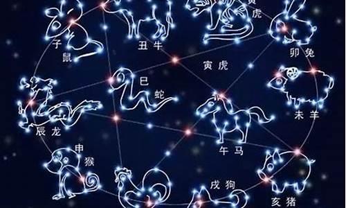 十二星座最准分析_12星座超准解析